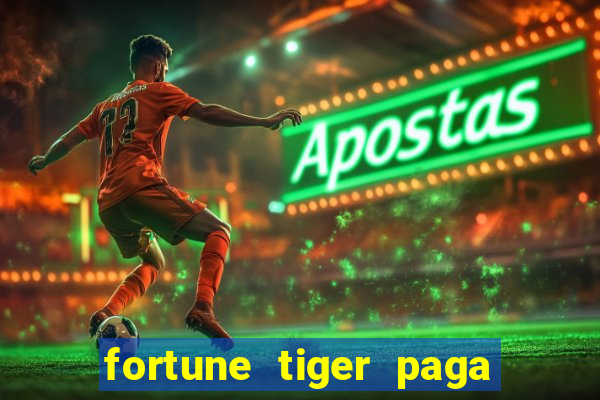 fortune tiger paga de madrugada